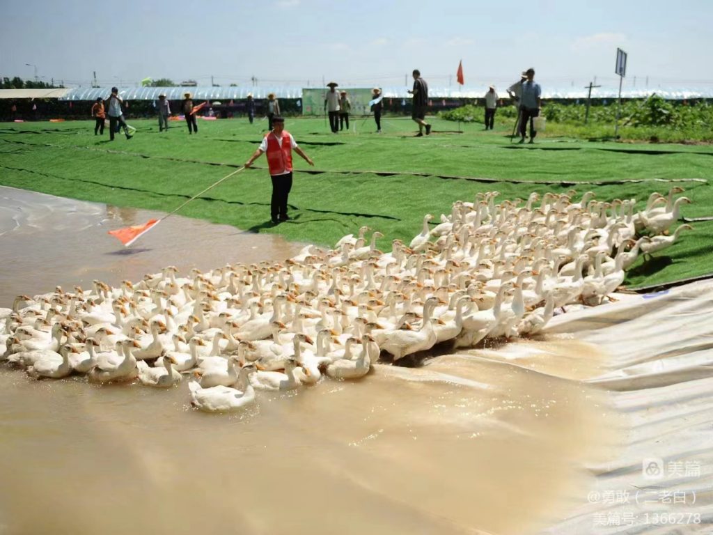 市教育家协会在济宁高新区丑小鸭亲子农场设立校外实践活动基地